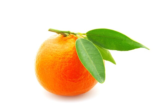 Mandarine