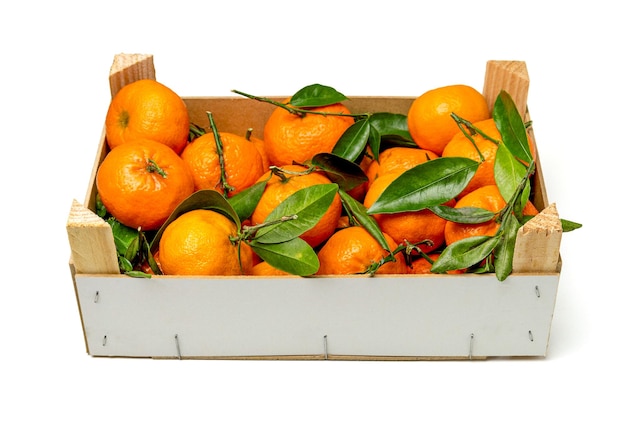 Mandarines dans une boîte isolée sur fond blanc