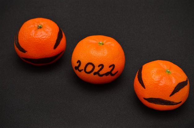 Mandarines décorées pour le nouvel an 2022 avec coloration de tigre sur fond noir