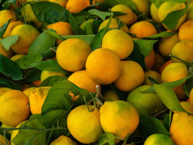 Mandarines fraîches au marché