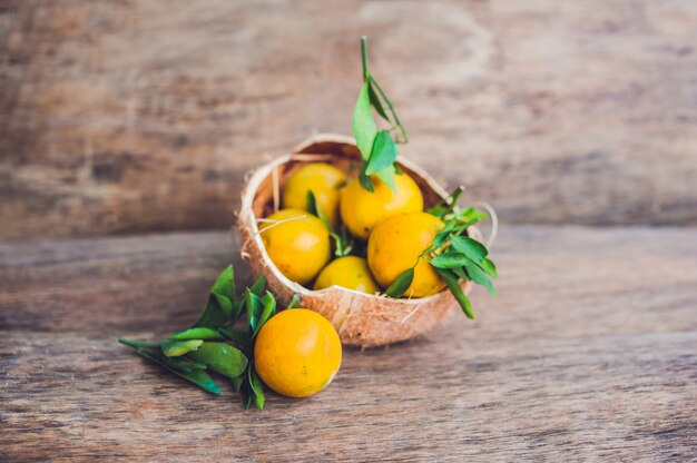 Mandarines fraîches avec des feuilles dans une coquille de noix de coco