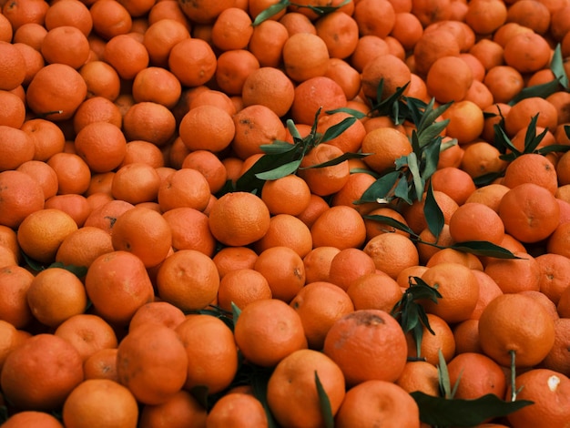 Mandarines fraîches sur le marché