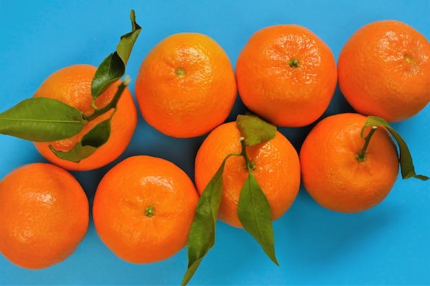 Photo mandarines fruits agrumes frais sur un fond bleu vif mandarines de ferme biologique