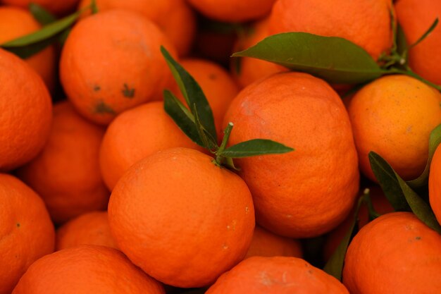 mandarines juteuses fraîches en boîtes à vendre à Chypre en hiver 21