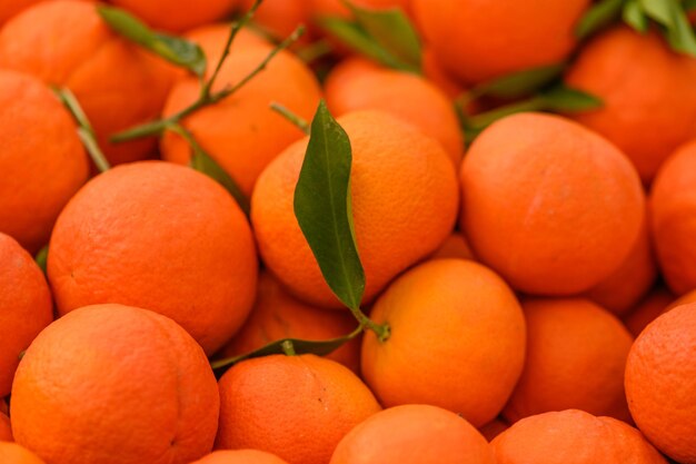 mandarines juteuses fraîches en boîtes à vendre à Chypre en hiver 5
