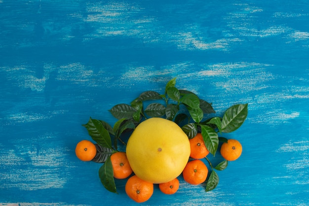 Mandarines mûres avec des feuilles vertes sur un fond bleu vif