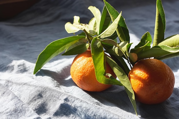 Mandarines ou oranges clémentinesagrumes avec des feuilles vertes sur fond textile bleu pastel