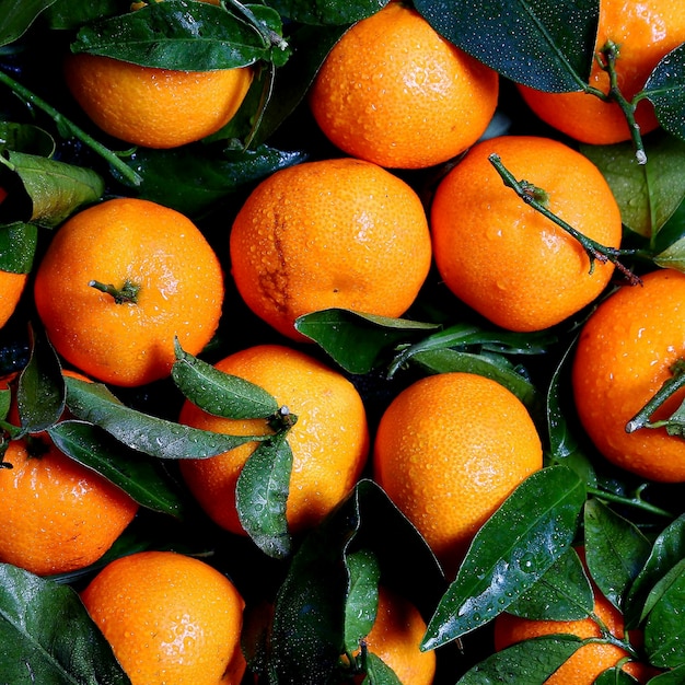 Mandarines Oranges