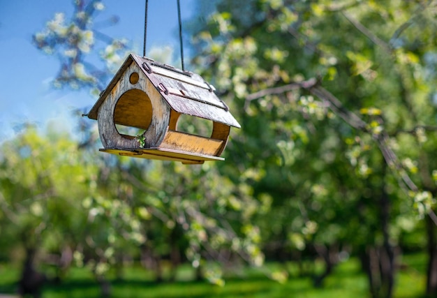 Mangeoire accroché sur apple tree Branche de pommier avec nichoir nichoir dans un parc public pour b