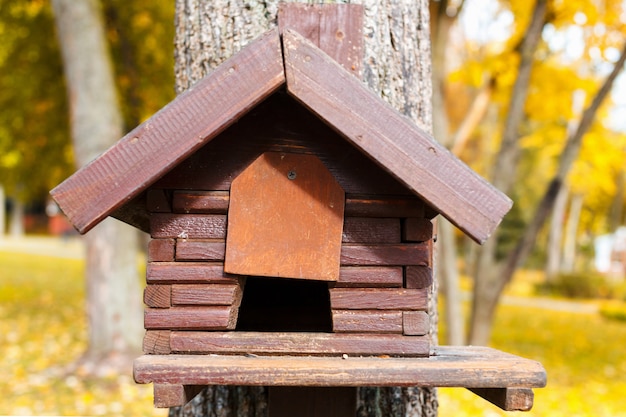 Mangeoire en bois pour oiseaux. Fond vert