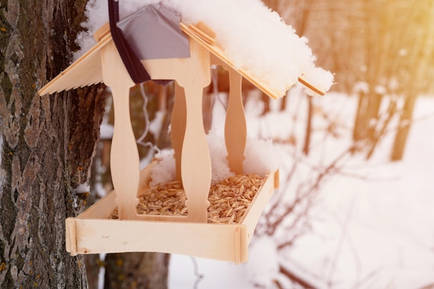 Mangeoire en bois pour oiseaux forestiers sauvages avec de la nourriture accrochée à un arbre recouvert de neige fraîchement gelée et de flocons de neige le jour d'hiver glacial dans la forêt ou le jardin soins aux animaux saison d'hiver enneigée dans la nature flare