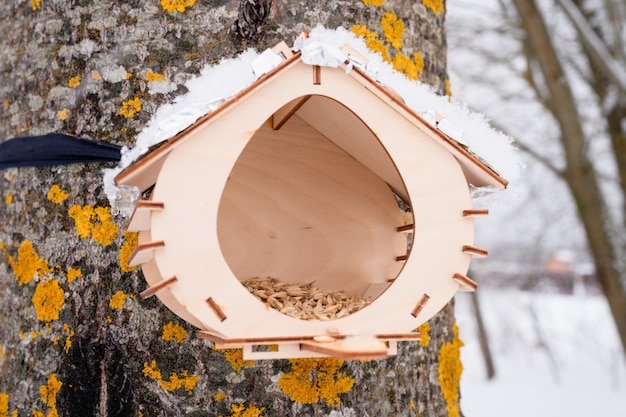 Mangeoire en bois pour oiseaux forestiers sauvages avec de la nourriture accrochée à un arbre recouvert de neige glacée fraîche et de flocons de neige le jour d'hiver glacial dans la forêt ou le jardin soins aux animaux saison d'hiver enneigée dans la nature