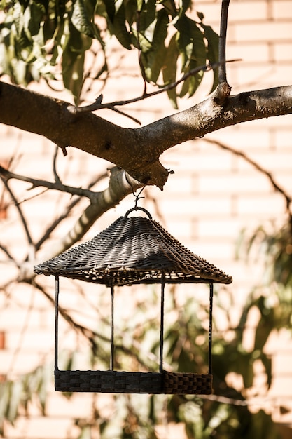 Mangeoire à oiseaux accrochée à une branche d'arbre avec des feuilles vertes