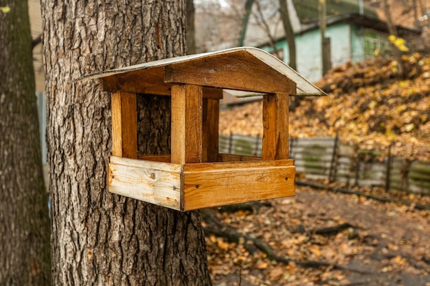 Mangeoire à oiseaux sur un arbre