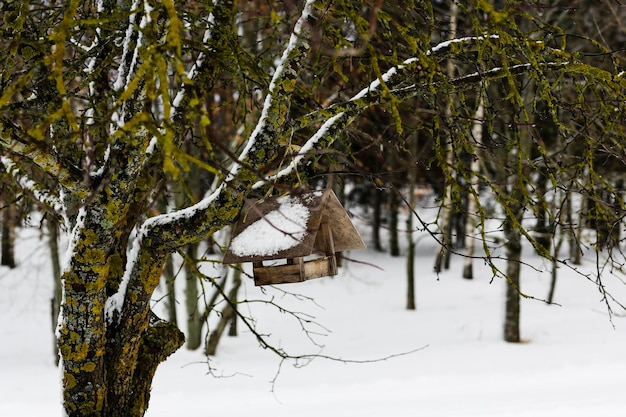 Mangeoire à oiseaux en bois sur un arbre Paysage russe d'hiver Village russe abandonné couvert de neige Le concept de prendre soin de la nature et des oiseaux