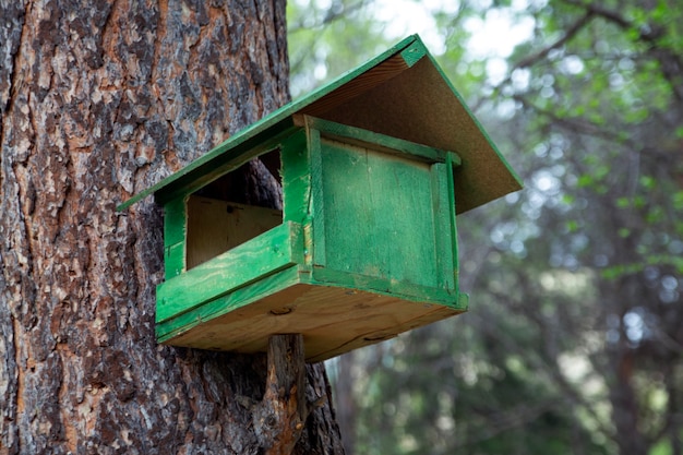 Mangeoire à oiseaux en bois dans la forêt d'été. Prendre soin de l'environnement.