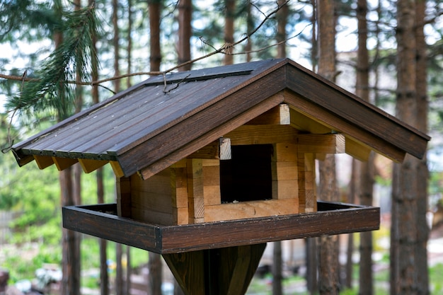 Mangeoire à oiseaux en bois dans la forêt d'été. Prendre soin de l'environnement.