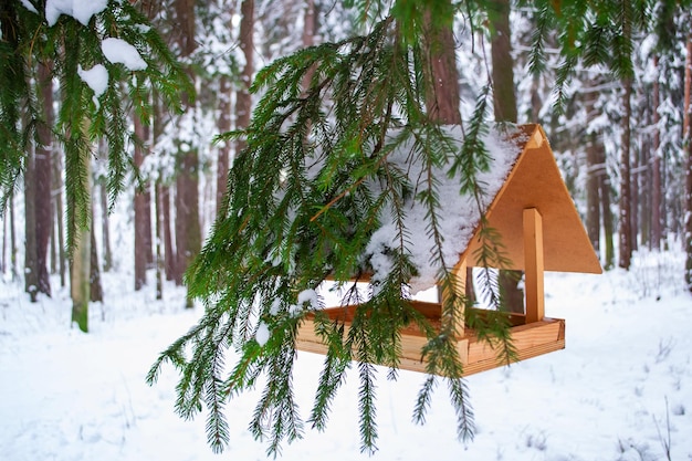 Mangeoire à oiseaux sur la branche mangé sous la neige sur fond de forêt d'hiver