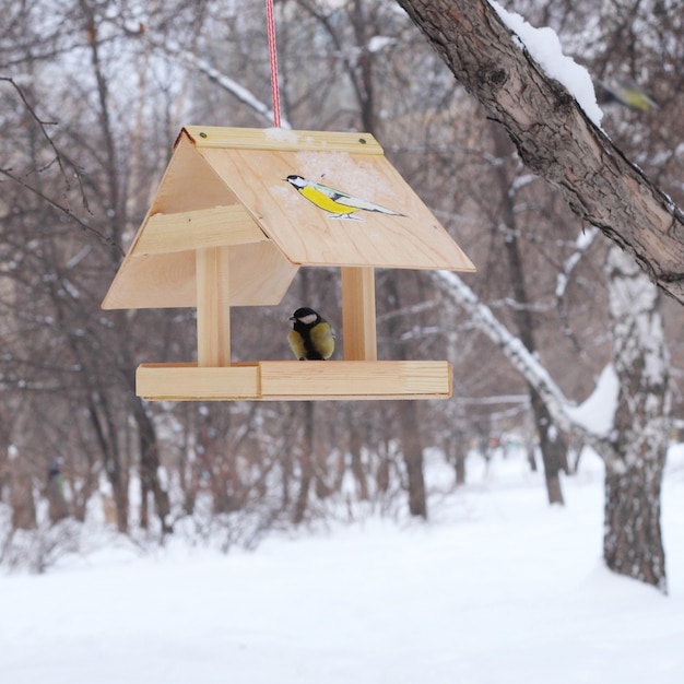 Mangeoire à oiseaux d'hiver dans un parc