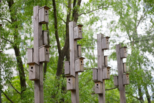 Mangeoire à oiseaux verticale city park bokeh background hd