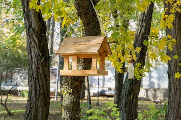 Mangeoire pour oiseaux et écureuils accrochée à un arbre dans le parc