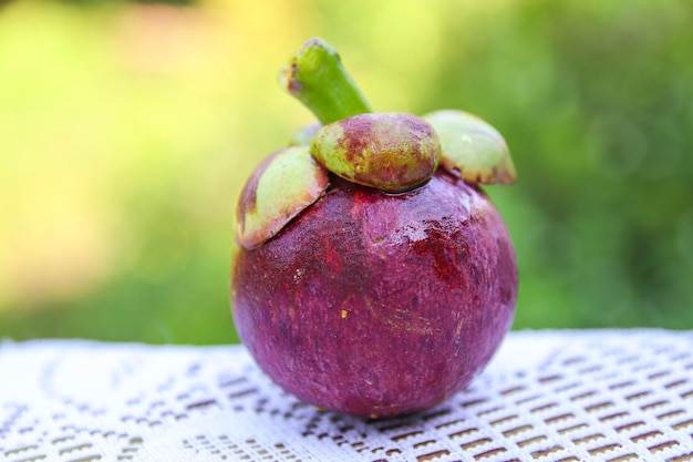 Photo le mangoustine est la reine des fruits.