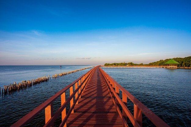 La mangrove forestière avec passerelle en bois Pont rouge et ligne de bambou