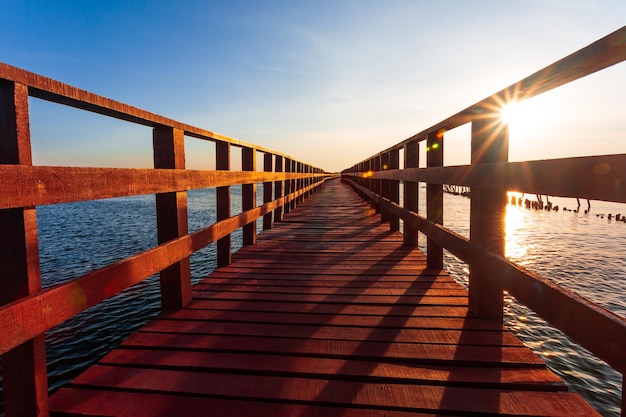 La mangrove forestière avec passerelle en bois Pont rouge et ligne de bambouClimat tropical