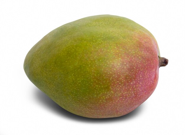 mangue au dos blanc