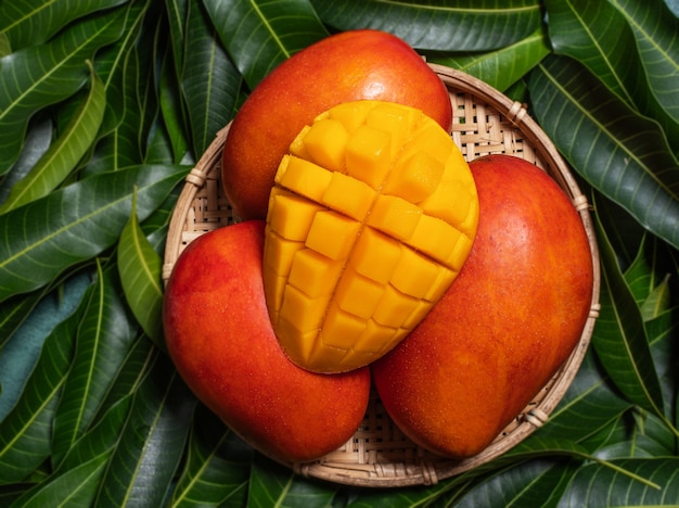 Mangue dans un panier sur fond de feuille verte