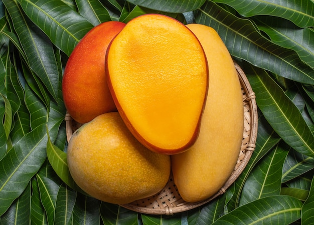 Mangue dans un panier sur fond de feuille verte