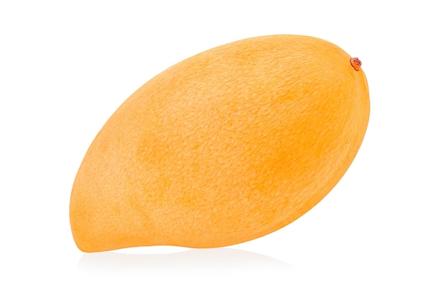 Mangue sur fond blanc