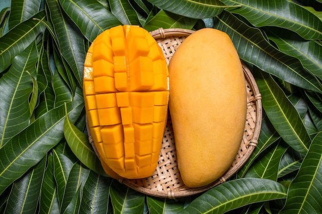 Photo mangue, fruit tropical, dans un panier de tamis en bois de bambou sur fond de feuille verte, vue de dessus, plein cadre, beau concept de conception de récolte mûre.