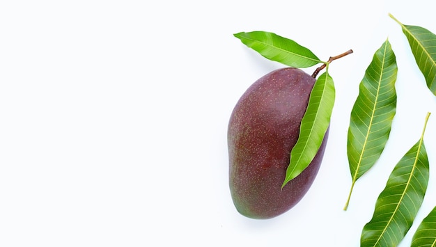 Mangue, fruits tropicaux avec des feuilles sur fond blanc. Vue de dessus