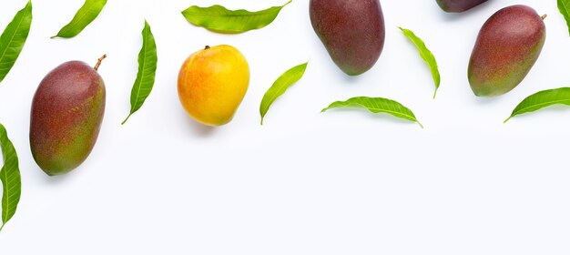 Mangue, fruits tropicaux avec des feuilles sur fond blanc.