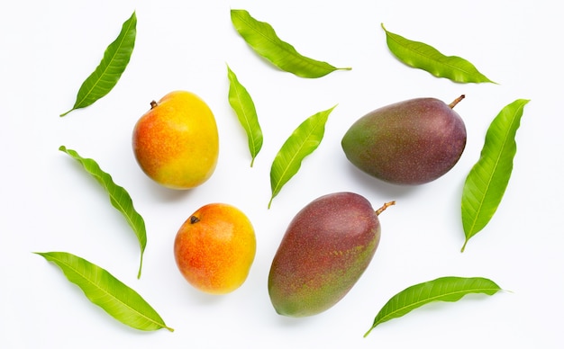 Mangue, Fruits tropicaux avec feuilles