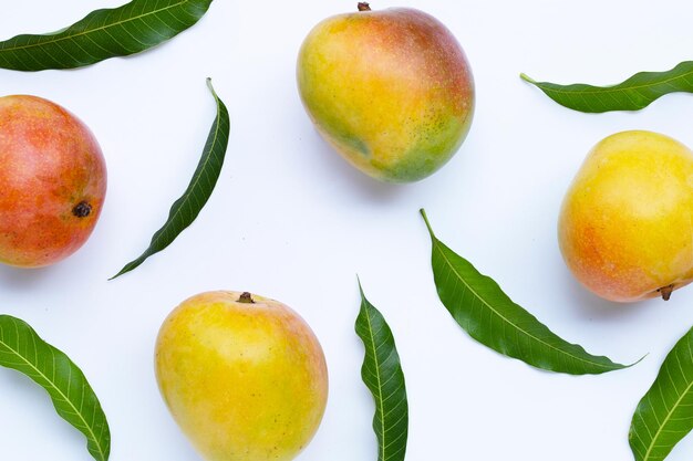 Mangue de fruits tropicaux sur fond blanc