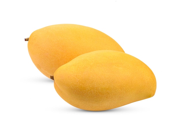 Mangue isolé sur fond blanc