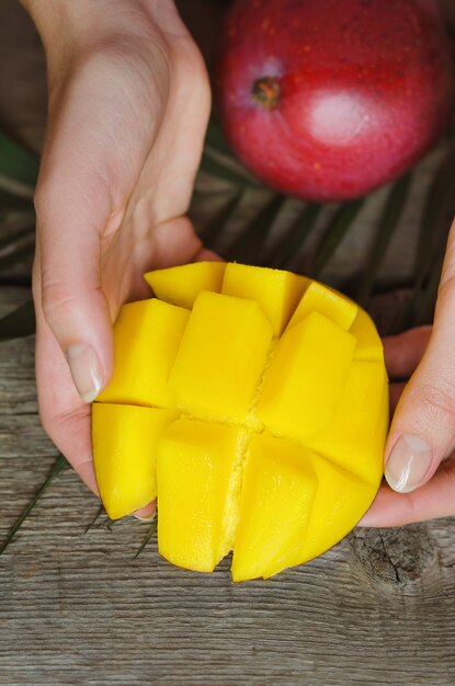 Mangue tropicale fraîche sur bois.