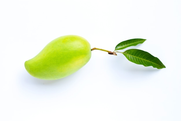 Mangue verte avec des feuilles.