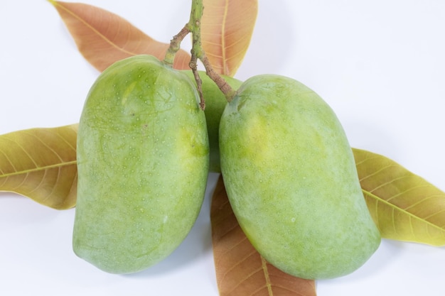 Mangue verte avec des feuilles