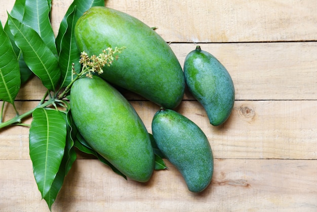 Mangue verte fraîche et feuilles vertes