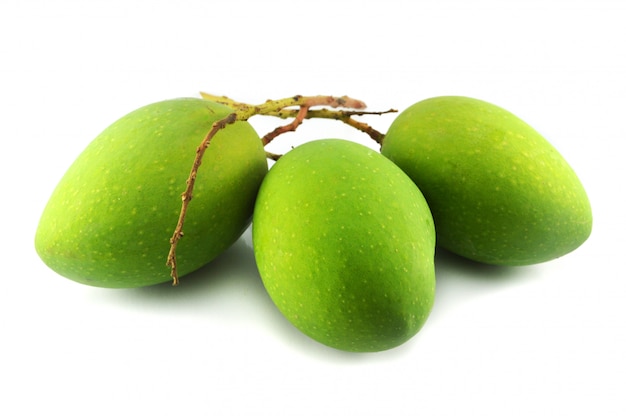 Mangue verte