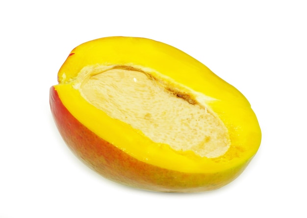 Mangue