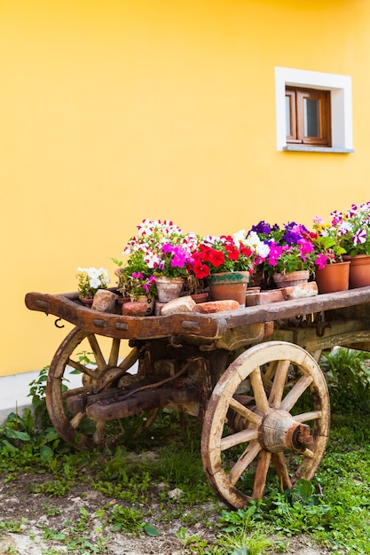 Manière très élégante de montrer des fleurs en Toscane - Italie