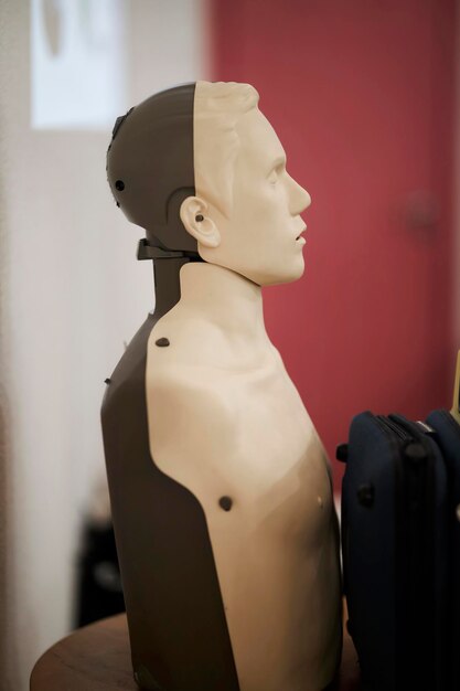 Mannequin pour la formation aux premiers secours.