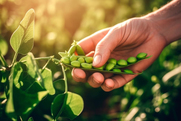 Photo manosverdurasyfruits et autres produits à base de fruits et légumes