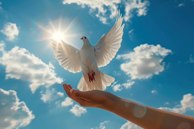 Photo a mans hand reaches out to a white dove against the background of the sky