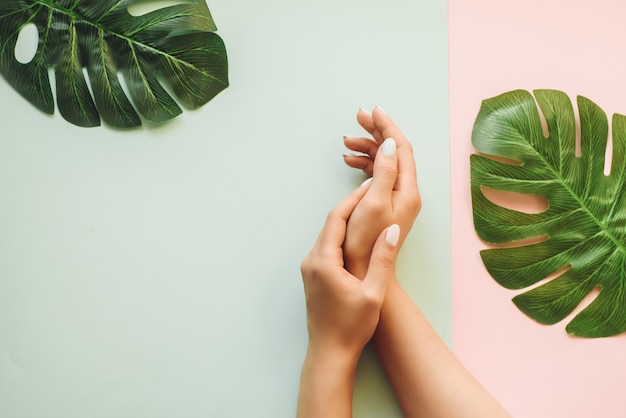 Manucure pastel sur fond bleu et rose avec des feuilles de palmier. Fond tropical avec les mains de la femme