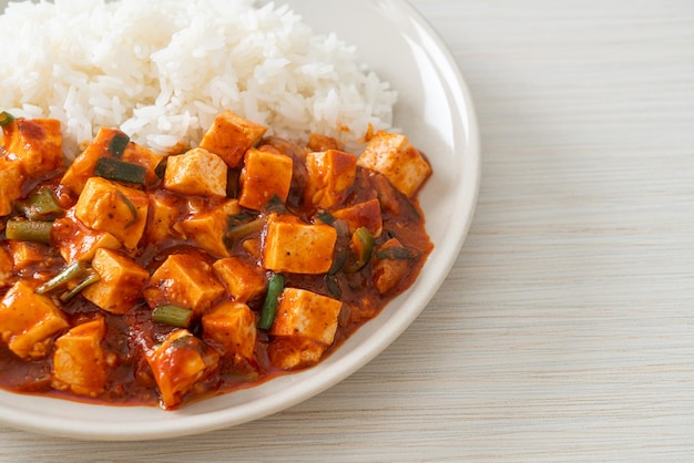 Mapo Tofu Le plat traditionnel du Sichuan composé de tofu soyeux et de bœuf haché rempli de saveur de mala à base d'huile de piment et de grains de poivre du Sichuan